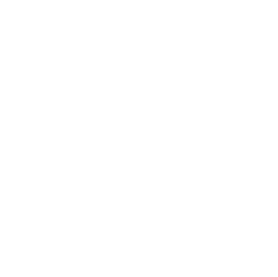 Galaxy Digital Inc. Class A Common Stock