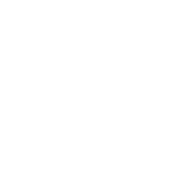 Forward Industries, Inc. Common Stock